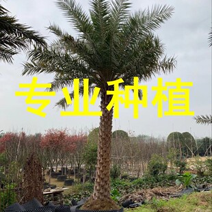 ���ݻ����Ж|���� �ͺ��ؙ��� �U��2����7�� С�^�е����^������