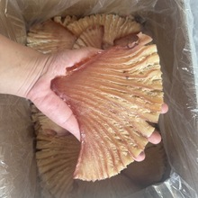 手撕碳烤鱿鱼风琴片整箱10斤散装批发KTV超市商用