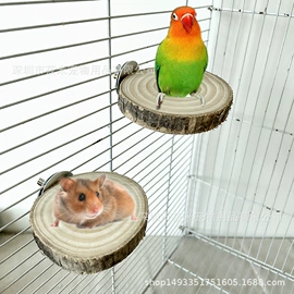 鸟笼;鸟类;宠物周边用品