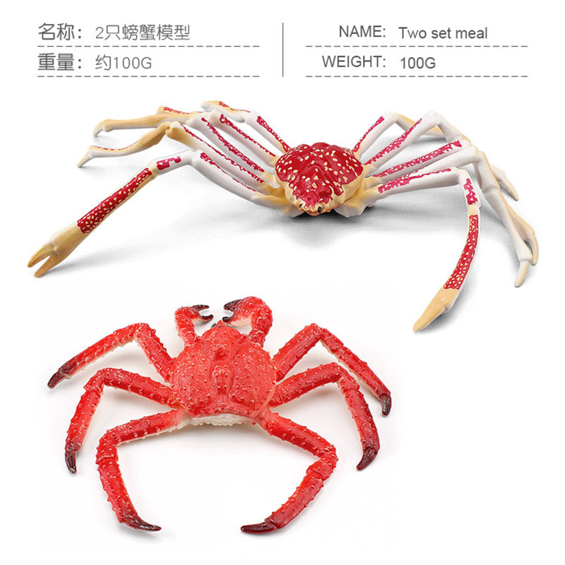 Simulación transfronteriza modelo de cangrejo de animales marinos niños cognitiva rey cangrejo araña cangrejo juguete estático decoración de escritorio