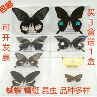 �����˱���Ȼ��������x�˱��Ĕz����DIY�W���̌W�J֪չ������b