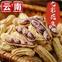 云南七彩花生龙岩水煮云南七彩花生斑纹黑金刚香脆大颗粒饱满