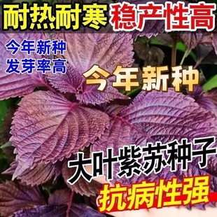 ���K�N�ӿ�ʳ���p��t���~���K�N���ļ��͟��̨�����߲�֧�����l