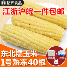 【一件包邮】东北甜糯玉米冷冻玉米棒1号玉米一等40支18-20厘米