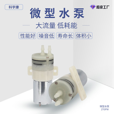 [KYK27GPW微型水泵自吸泵隔膜泵小型12V水泵酒精喷雾器]