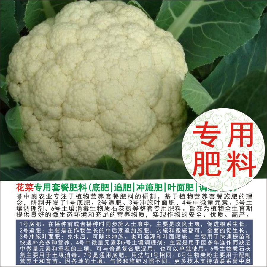 50�����а»�Ҭ�˻���ר�÷����л��ʸ��Ϸʵ׷�׷�ʳ�ʩҶ���