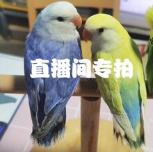 ���Bĵ���W�^�S�ҾG���r�B���W�{�W���B�ձ����r�B���B�����H��