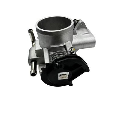 Models Such as – Drossel