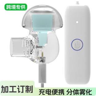 Foreign Trade Spray Adult and Kidsren Silent Charging Atomizer Household Portable Handheld Atomizer Humidifier