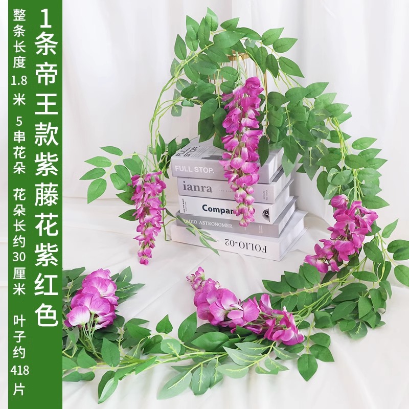 황제 등나무 자홍색 1