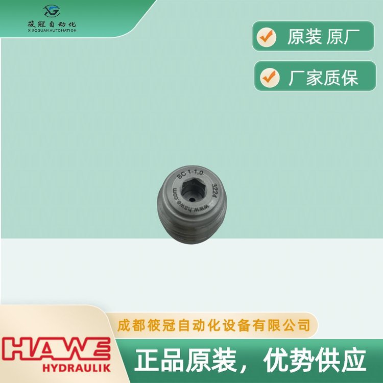 BC1-1.0原装进口BC系列液压阀HAWE节流阀哈威单向阀