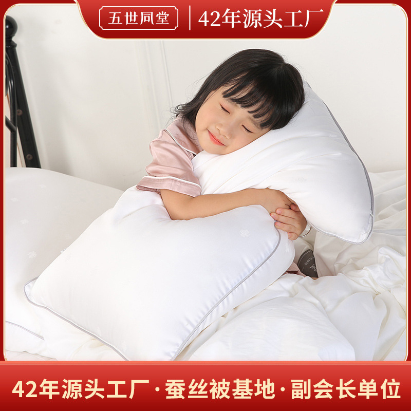 蚕丝枕升级150g柞蚕丝小蜜蜂一件代发中偏低型蚕丝特软枕头枕芯