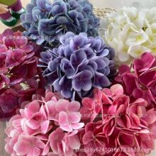 3D��ӡ�zƬ�����^ diy�^����������b������R�d����h�廨