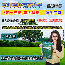 ��ƺ�N�ӻ첥�ļ�������ݹ���������̸���é���ɷf�o�¾G������