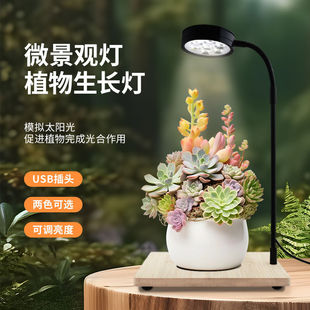 ȫ���V��̫ꖹ�ֲ���a���led���þGֲ����΢���^̦�\�����~�ן�