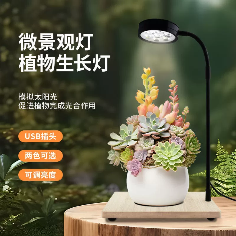 Полный спектр имитации солнечного света подсветка для растений светодиодные домашние зеленые растения мясистые микро-ландшафтный мох