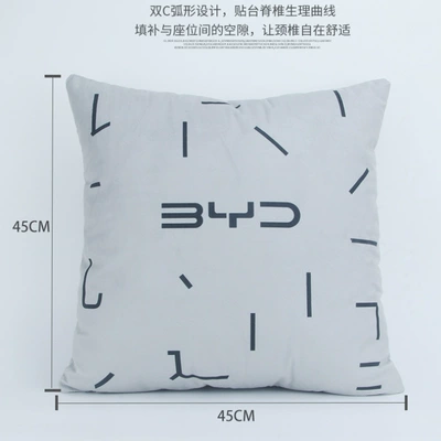 Car Headrest and Lumbar Support: Headrest