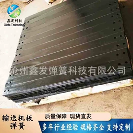 片弹簧;板弹簧;不锈钢带