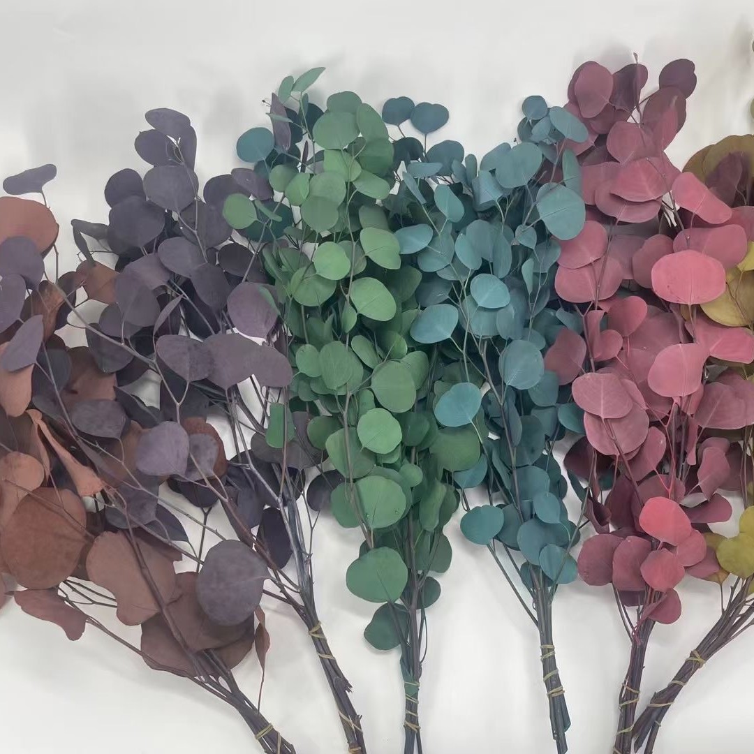 Eterno flor hoja de eucalipto eterno cobre moneda hoja de eucalipto hoja fina eucalipto manzana hoja de eucalipto hoja de mijo eterno mijo fruta