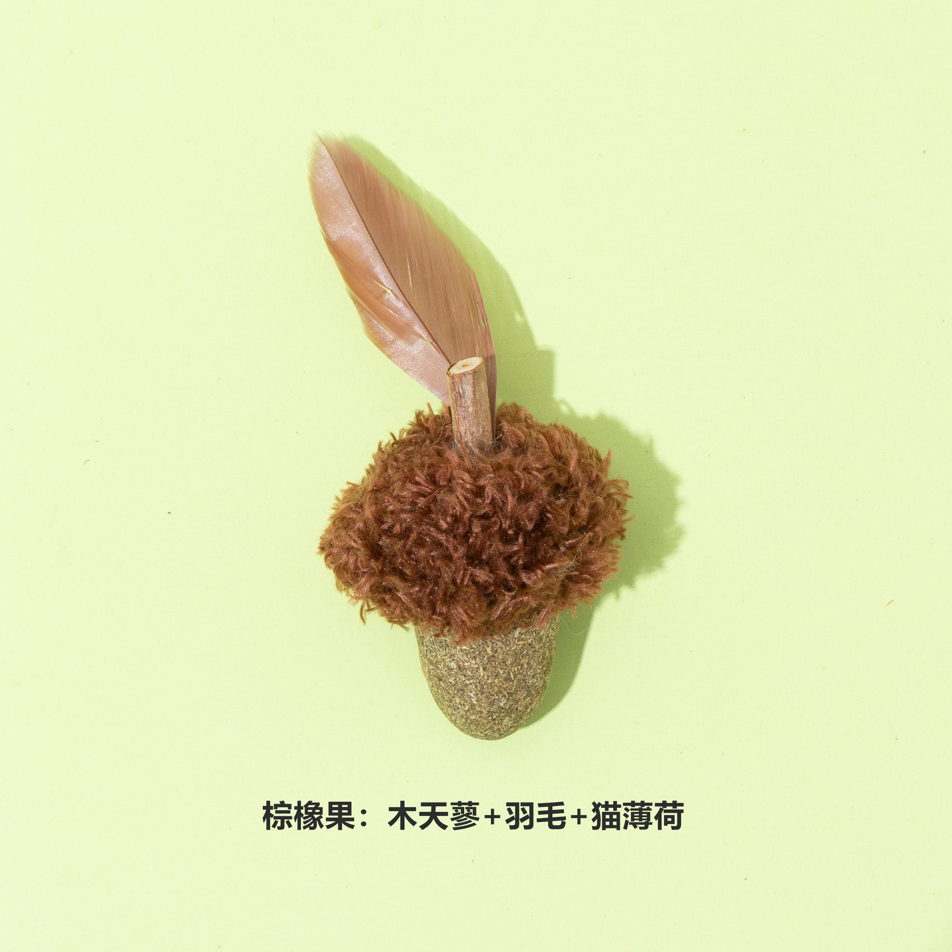 다크 브라운 도토리