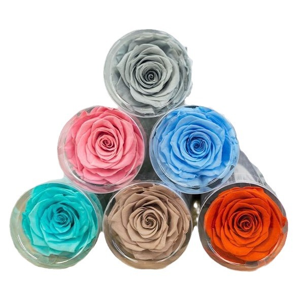 Flor de la eternidad rosas de tubos de ensayo ramo de flores matrimonio confesión día de San Valentín regalos de alta calidad transfronterizos fábrica de Amazon al por mayor