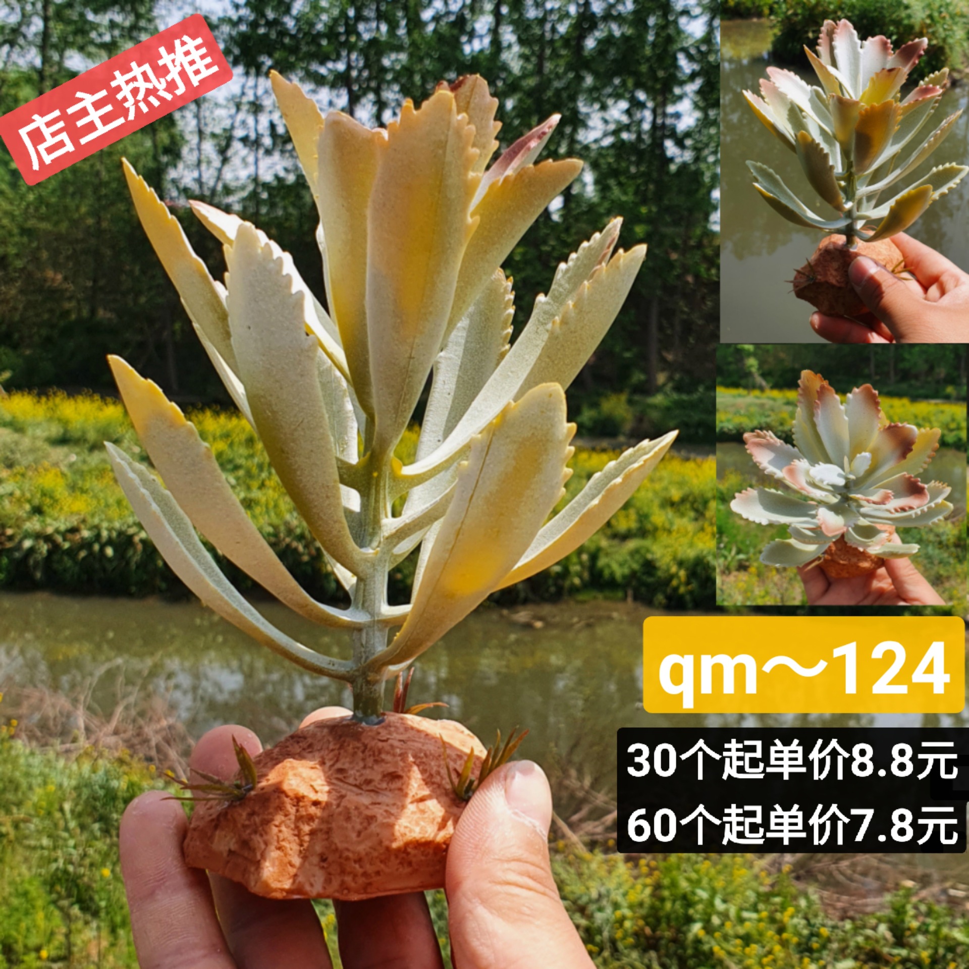 微信图片_20220422190547