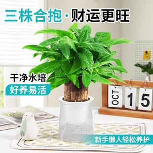 �lؔ��С���Ի��ܾGֲ���k���҃�����ȩ�G�}����ˮ��lؔ����B