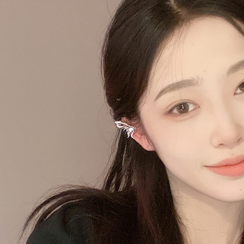 Small ear clips
