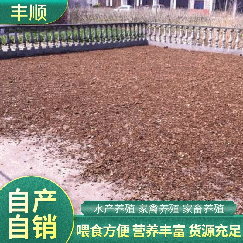 Корм для тилапии Сухая куколка тутового шелкопряда Аквакультура Корм для куколки тутового шелкопряда