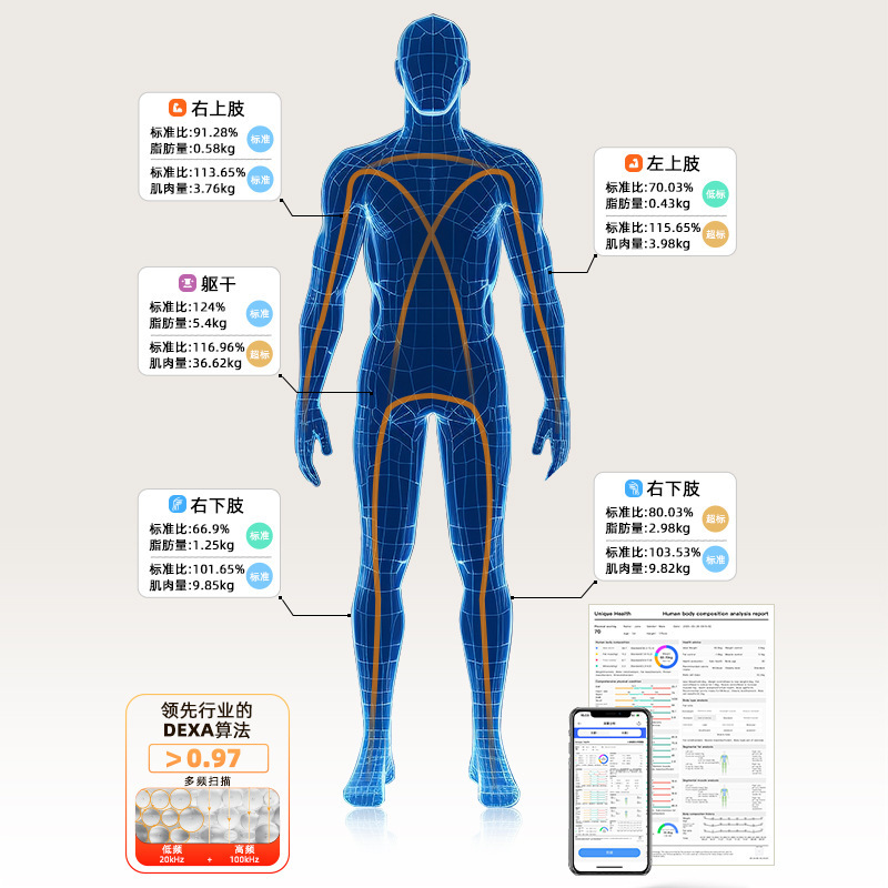 工場卸売 8 電極スマート VA カラー画面体脂肪計ハンドル脂肪測定 Bluetooth WIFI 付き正確な電子スケール|undefined