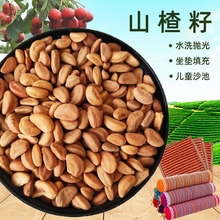 山楂籽批发枕头填充物沙袋坐垫水洗抛光童娱乐沙池游乐场用山楂籽