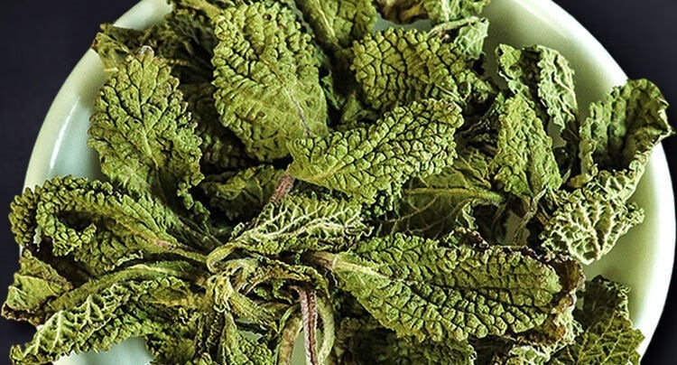 Toad Herb Dried Stems and Leaves Ha Ma Cao Hand-Sifted Raw Herbal Material 100g overview