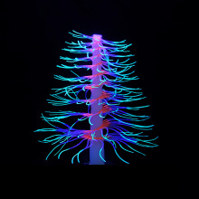 lˮ~쾰zƷ쾰Ʒ-}QɺM