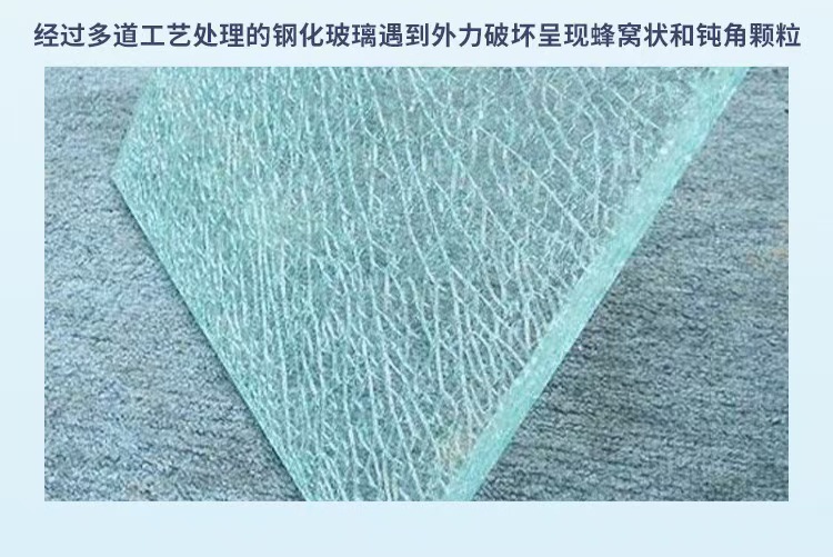 微信图片_20241105094120