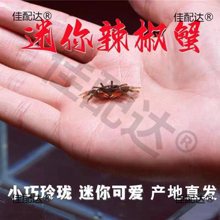 ��������з����С�з�^�pз���l����з����з��ˮз����з��