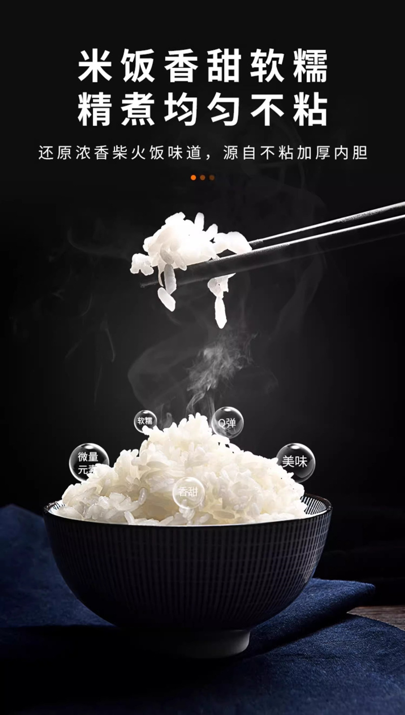 Car-Mounted Rice Cooker 12V/24V for Cars, Trucks, Home Use, Outdoor Cooking, New Export Product