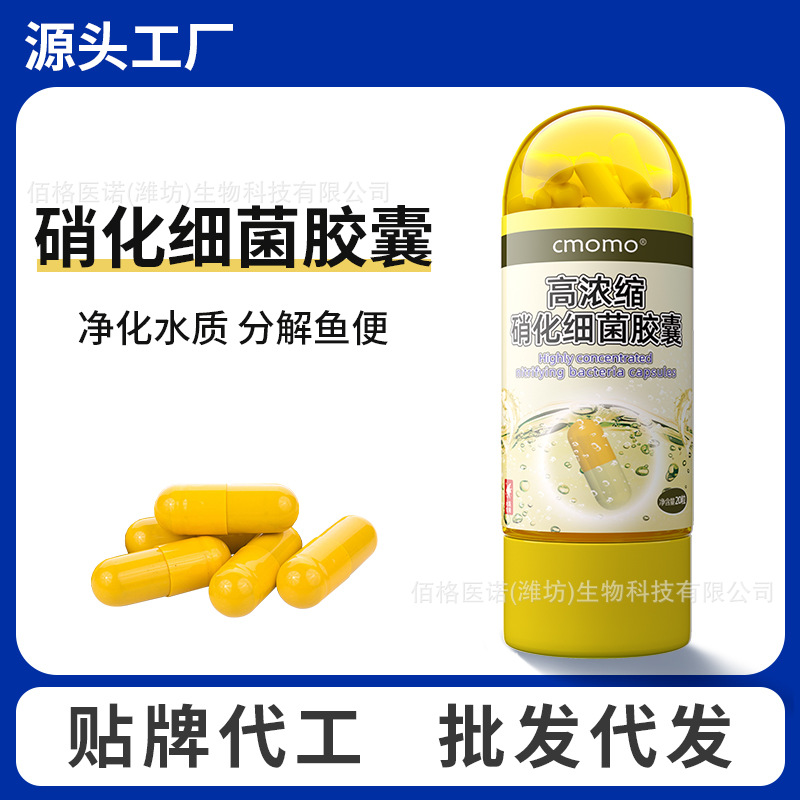 硝化细菌胶囊鱼用鱼缸净水剂水质稳定剂消化菌活菌干粉水族专用