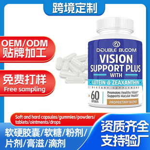 �羳�~�S�������S�|�a��VisionSupport���Ѽt��Խ����Ƥ���z��oem