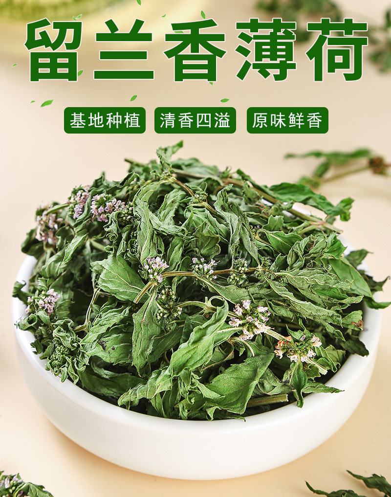 Spearmint Leaf (Mentha spicata) — Anhui Dried Mint Tea for Cold Brew & Daily Infusions key features