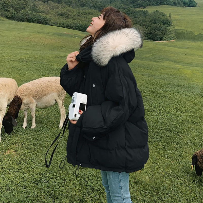 Пуховая хлопчатобумажная женская короткая 2024 новая осень и зима