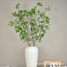 bm~ ҃~bҾֲ~[Gֲ4m~