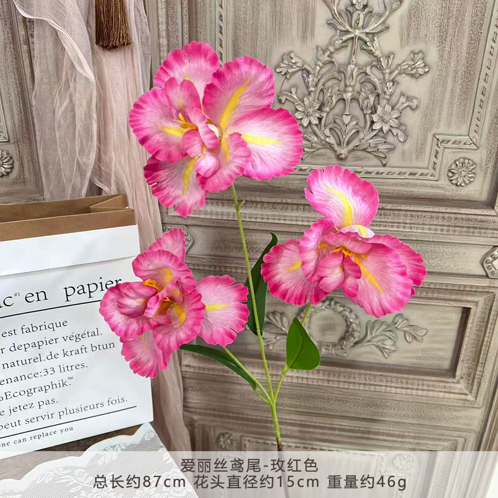 XKL-อลิซ ไอริส-โรส เรด