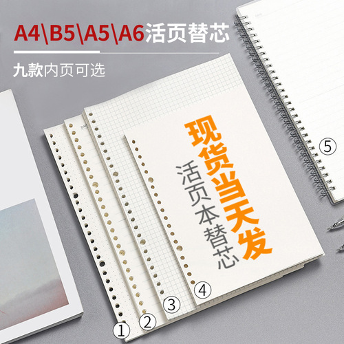 Manufacturer A5B5 loose-leaf core replacement classic grid horizontal line loose-leaf paper 2024 new binder card album inner pages wholesale