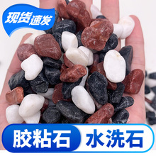 定制彩色石子五彩水洗石洗米石透水胶粘石露骨料混凝土水磨石石头