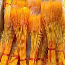 �c�����l���������b[���_�I���@����ɻ�����������ǧ����