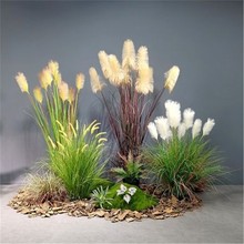 �����JȔ�辰��ؾGֲ���W�ҾӔ[���҃Ⱦ��^ˮ���b������b