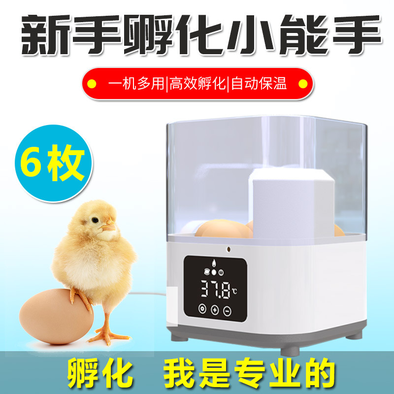 全自动孵化机自动加水孵蛋器6枚装鸡鸭鹅暖蛋器鸟鸽子鹌鹑孵化器