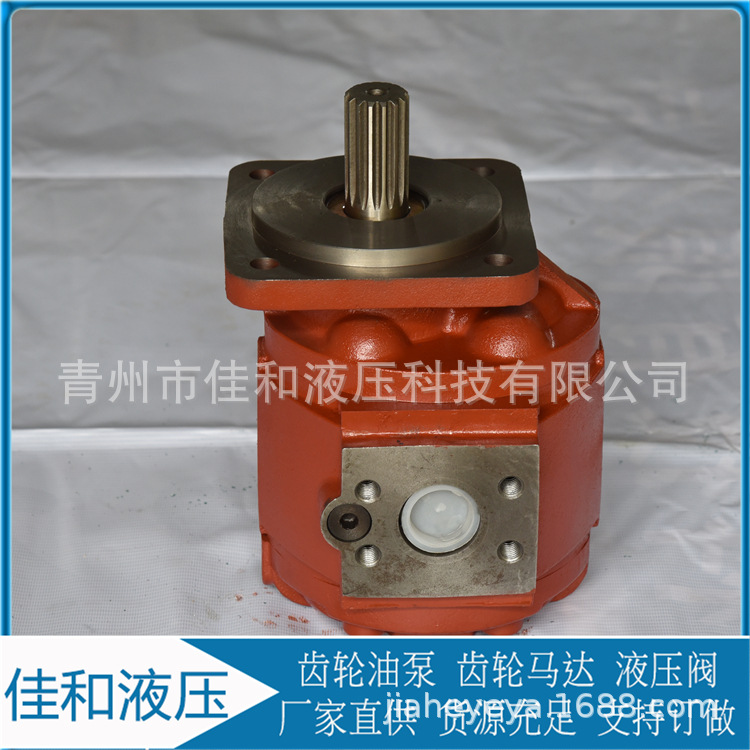 装载机齿轮泵厂家  双向齿轮泵价格   齿轮马达CMZ2080