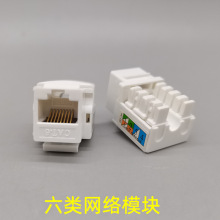 ���ǧ�׾W�jAMP�����ʹ�RJ45�W�jcat6���X�W������Xģ�K