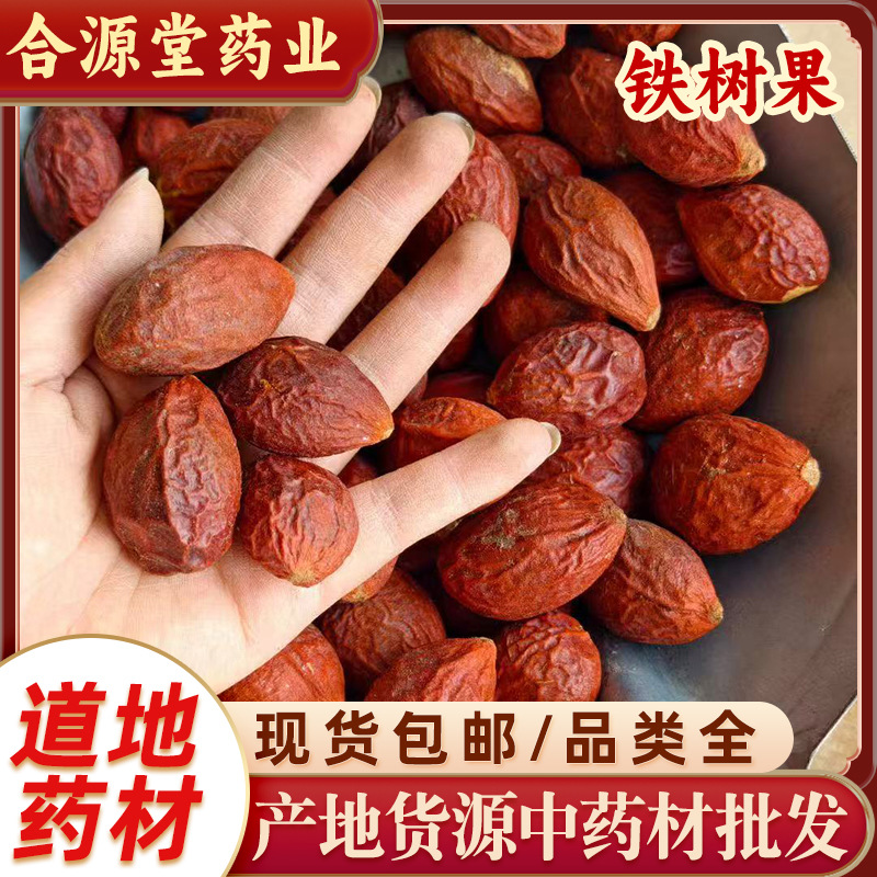 中药材 铁树果 铁树籽 凤凰蛋 苏铁果 铁树子 铁树果铁树果实